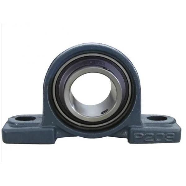 45 mm x 100 mm x 36 mm  FAG NU2309-E-TVP2  Cylindrical Roller Bearings #1 image